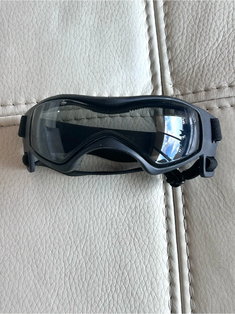 Black Pet Goggles